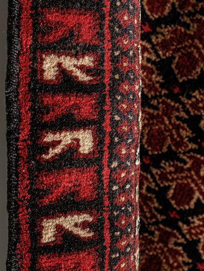 ALFOMBRA MANUAL BELLUCHI-MIHRAN-0